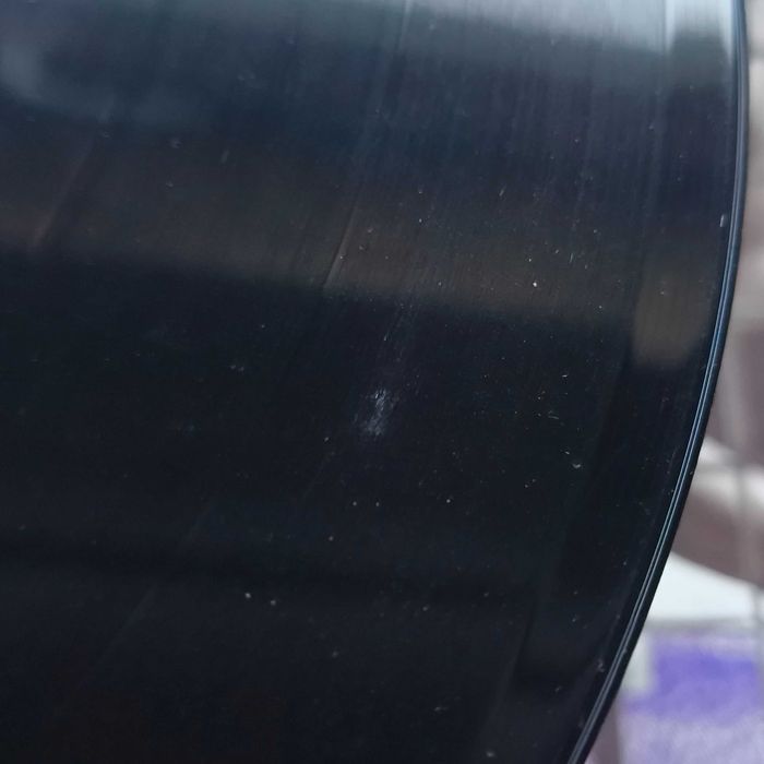 The Bonaparte's Welcome To The Isle Of Dogs Vinil