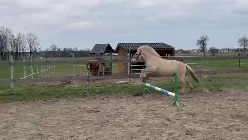 Sprzedam lub zamienie