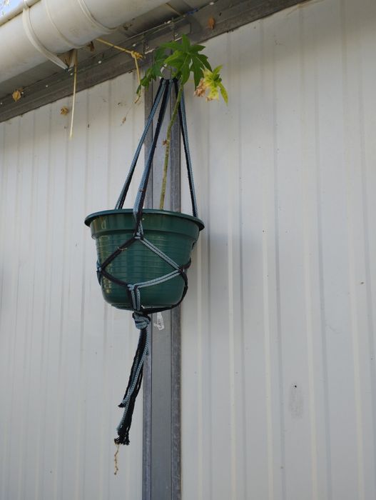 Suporte para plantas em macramé