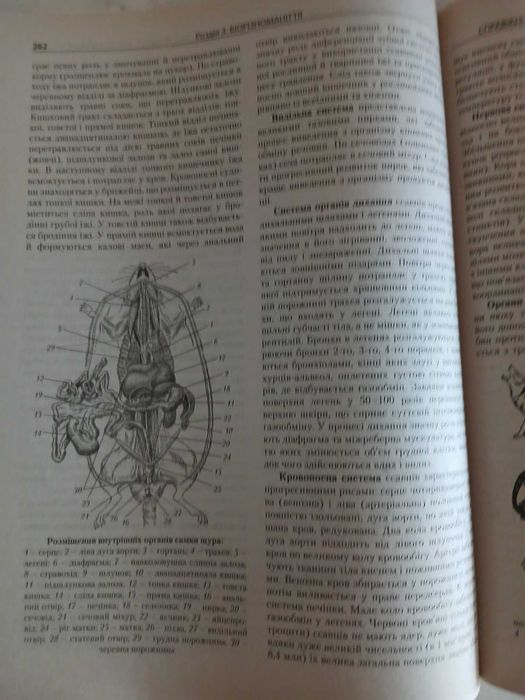 зно 2020 біологія комплексне видання