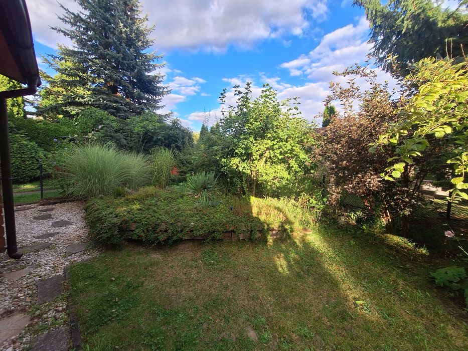 Działka  na ROD im.  Żalińskiego w Jaryszkach 448m2