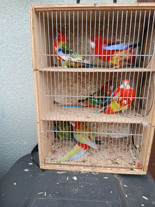 Zamienię lub sprzedam