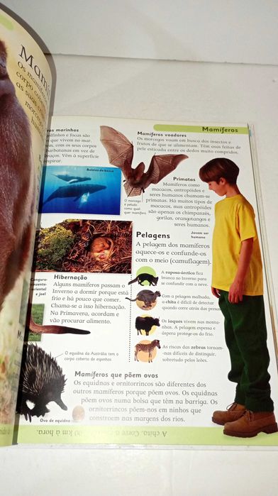School Encyclopedia - DK64586098157827123