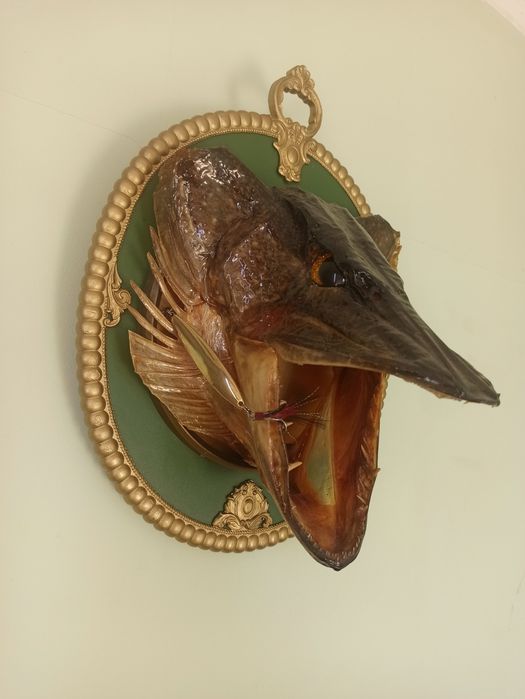 Рибацький декор (щука)