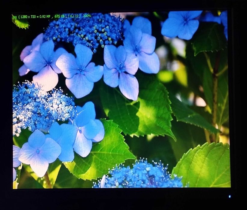 Монитор 19" LG Electronics L1953S-SF