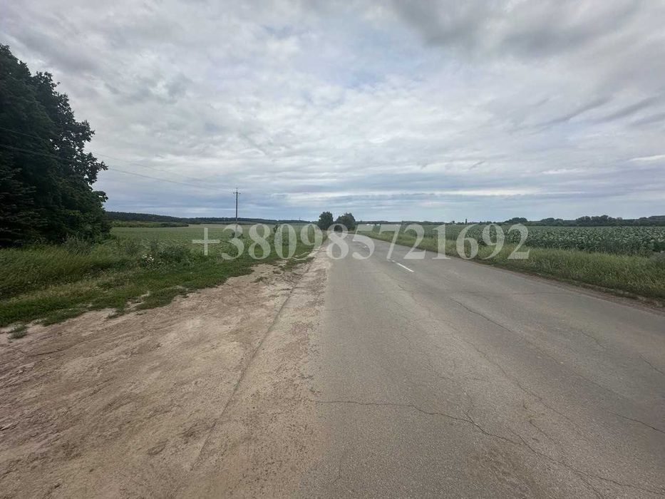 Продаж земельної ділянки 1,6 га, Фастівський район, Княжичі (Боярка)