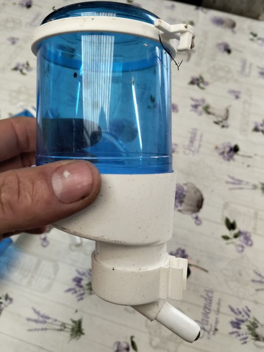 Comedouros automáticos e material para aves