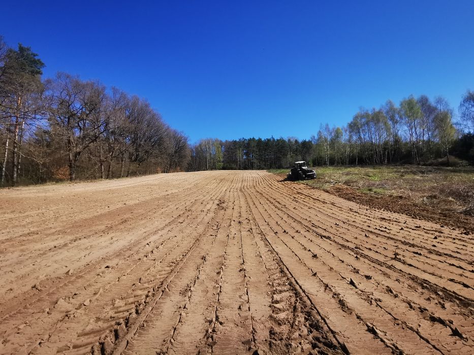 Mulczerowanie, rekultywacja gruntów,wycinka,  wycinka pod inwestycje
