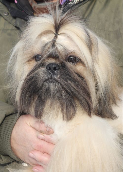 Неймовірний яскравий і ніжний хлопчик