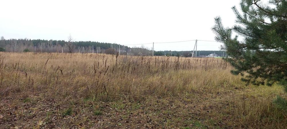 Біля лісу, Старі Петрівці, 11.5 соток для будівництва