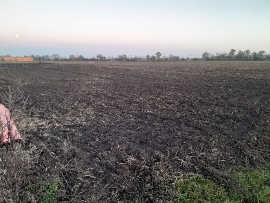Sprzedam działki budowlane w Zydowie - Widok 4