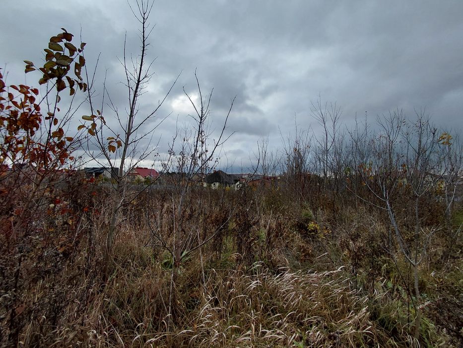 Продається земельна ділянка кленовий гай