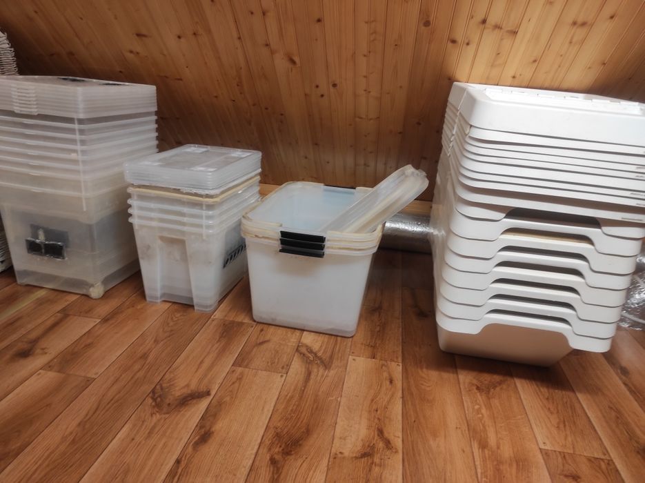 Pojemniki plastikowe hodowlane gekony karaczany IKEA sortera