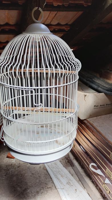 Gaiolas para canários piriquitos