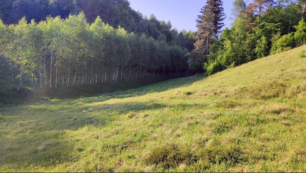 Działka na sprzedaż