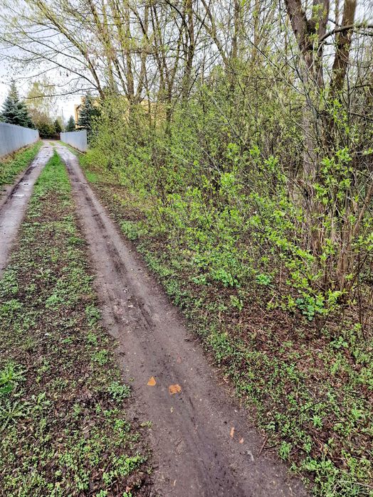 Działka budowlana Milanówek - Widok 2