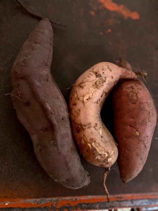 Vende-se batata doce roxa, laranja e branca