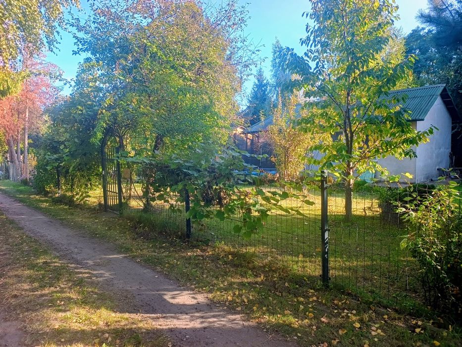 Działka ROD na Wilanowie