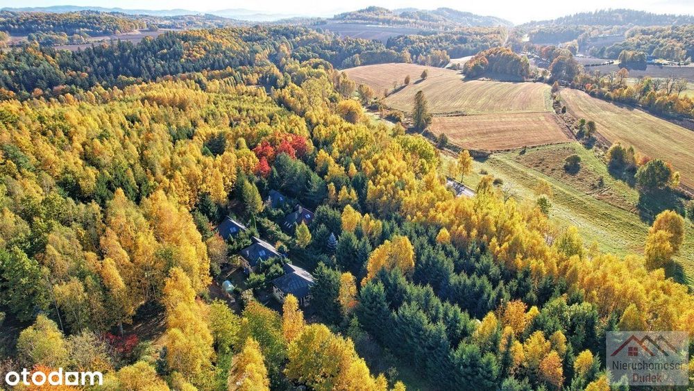 Wyjątkowa nieruchomość - 7600 m2 + 5 domków
