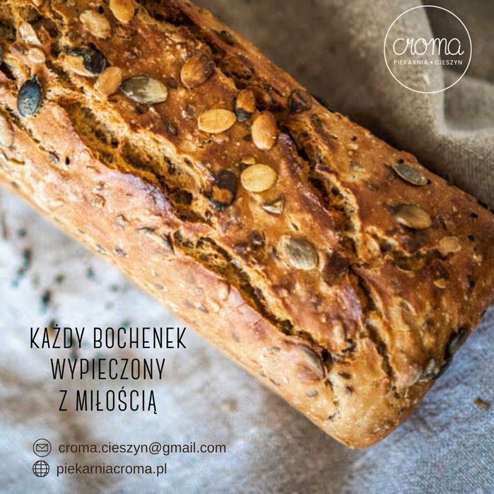 Prowadzenie Facebooka Instagrama, Kampanie Social Media Facebook