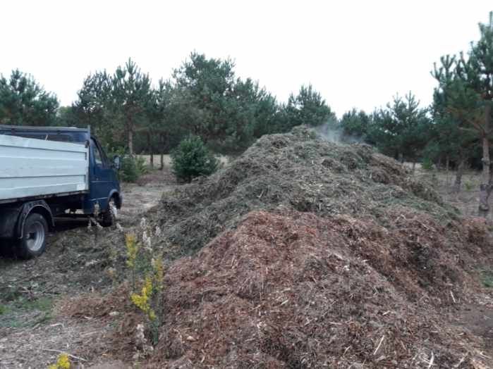 Zrębka, ściółka , podłoże sosna, sosnowa