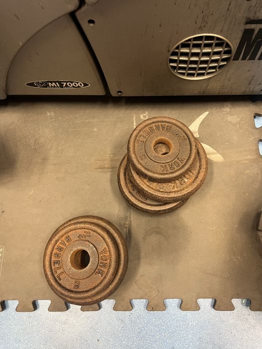 Halter + pesos de ferro