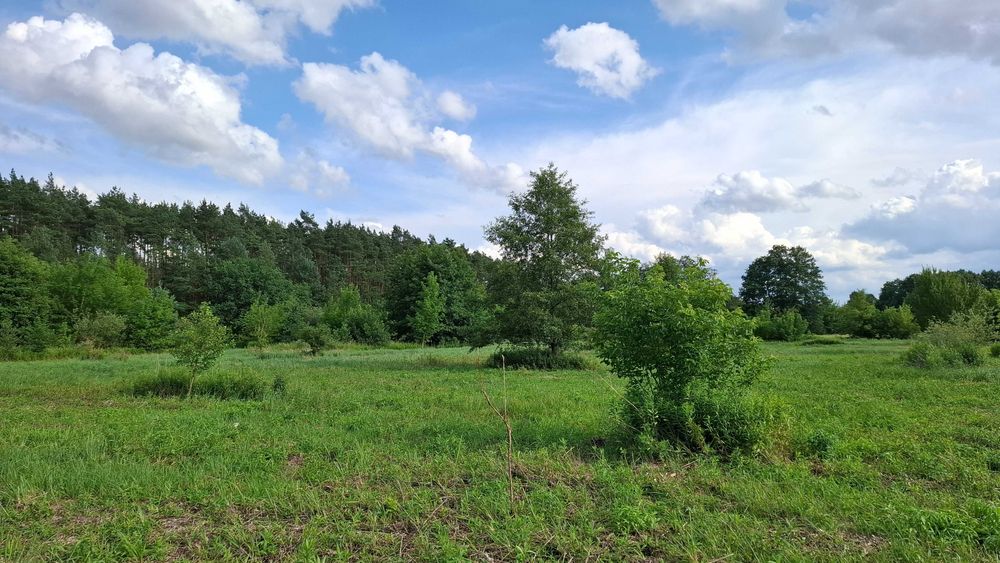 Działka 3,05 ha przy rzece Drwęca, łąka, pastwisko, las, ziemia orna
