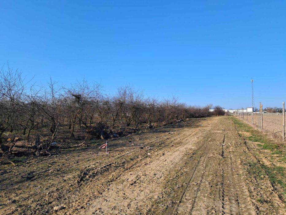 Sprzedam działki z WZ, CzerwińsK nad Wisłą