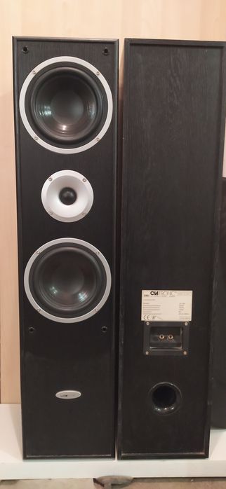 Głośniki podłogowe Clatronic LB 562