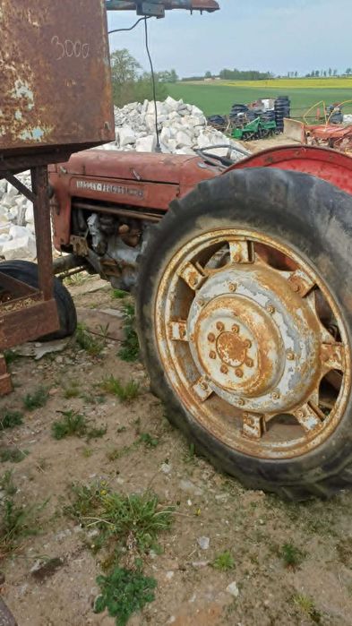 Ferguson  benzyna traktor zabytkowy