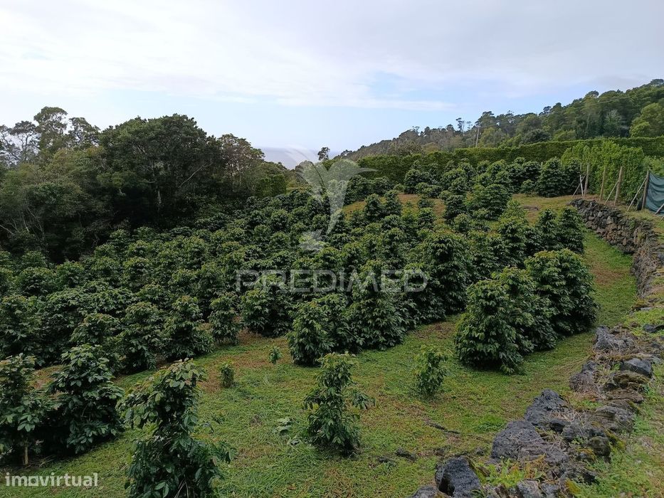 Terreno com viabilidade de construção na Urzelina