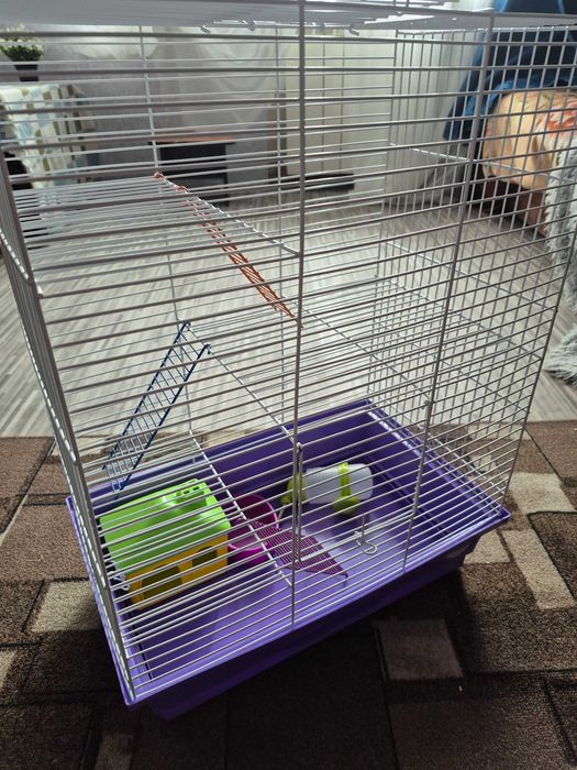 Клітка для гризунів