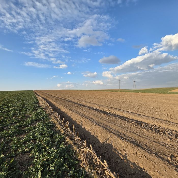 Uzbrojona działka rolno-budowlana 1,02 ha /Media w działce /Więckowice - Widok 5