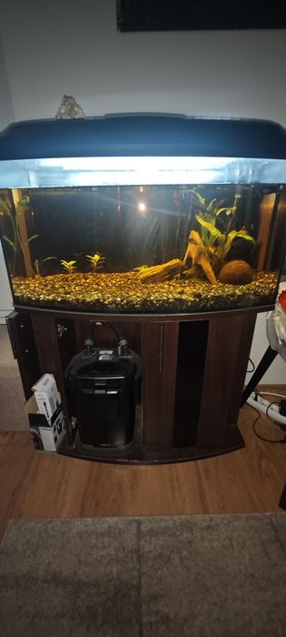 Akwarium 112l + szafka + akcesoria