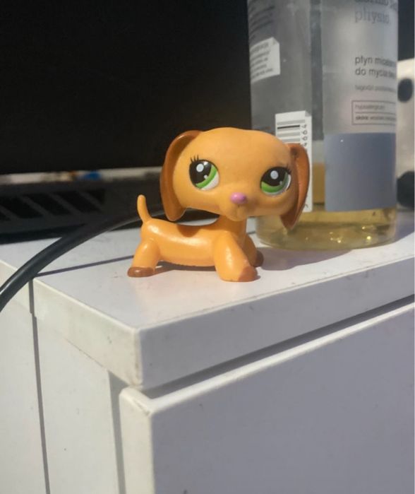 lps jamnik piesek