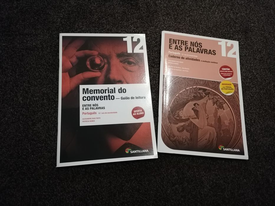 Caderno de atividades Entre nós e as palavras: Ideal para explicadores