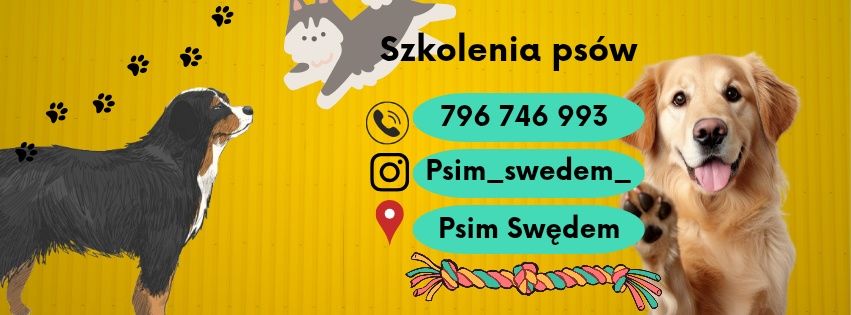 Psi behawiorysta | trener ŁÓDŹ i ŁASK