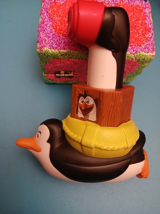 Pingwiny z madagaskaru z lunetą