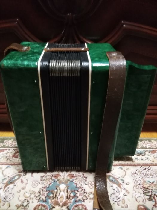 Гармонь! Гармошка! Марічка!