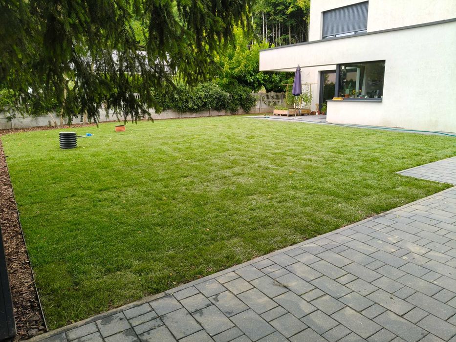 Zakładanie Ogrodów / Aeracja Wertykulacja / Trawa z rolki