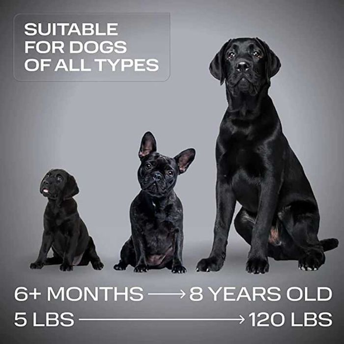 Ultrasonic - лучший с лучших, ультразвук отпугиватель собак відлякувач