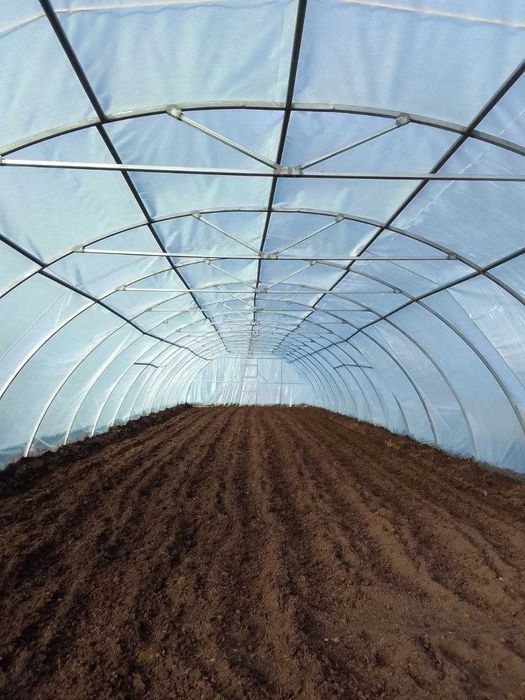 Продається фермерське домогосп. у с.Вільшаниця, є велика теплиця 300м2