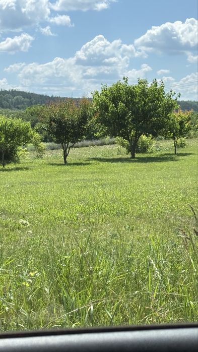 Продаж ділянки 1 + га , р. Дніпро, с. Балико Щучинка, Обухівський район