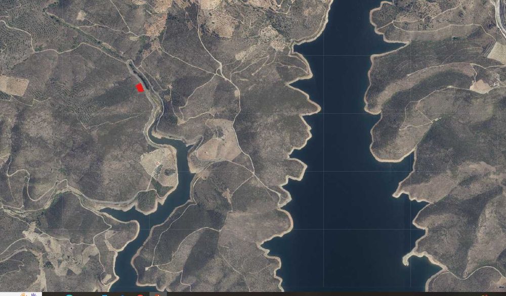 Picoto - Lagos do Sabor