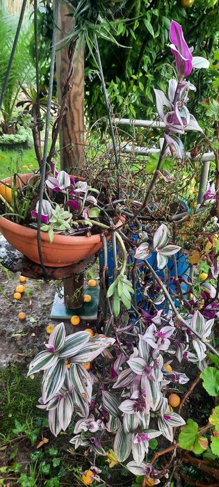 Decoração de jardim