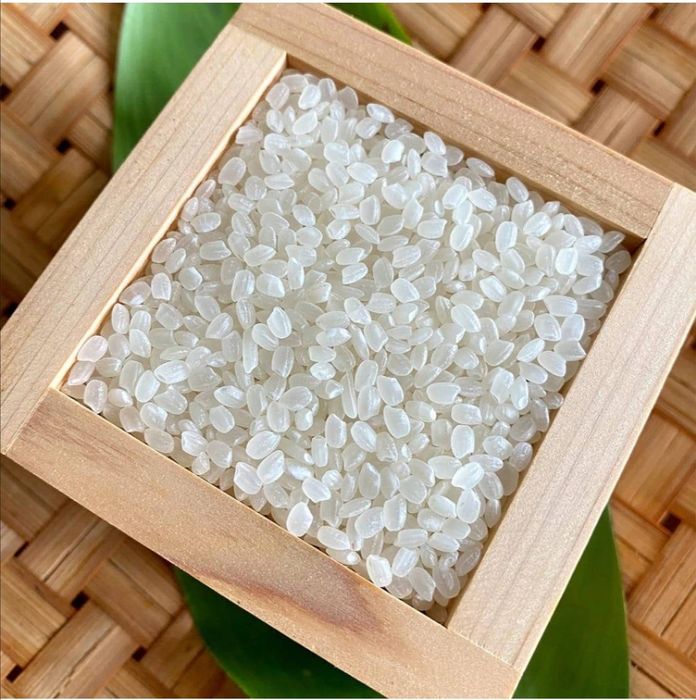 Рис для суші Косіхікарі