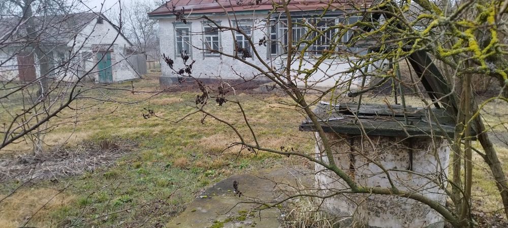 Продаж будинку в Черкаській області, с. Лебедин