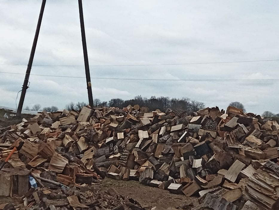 Drewno opałowe kominkowe