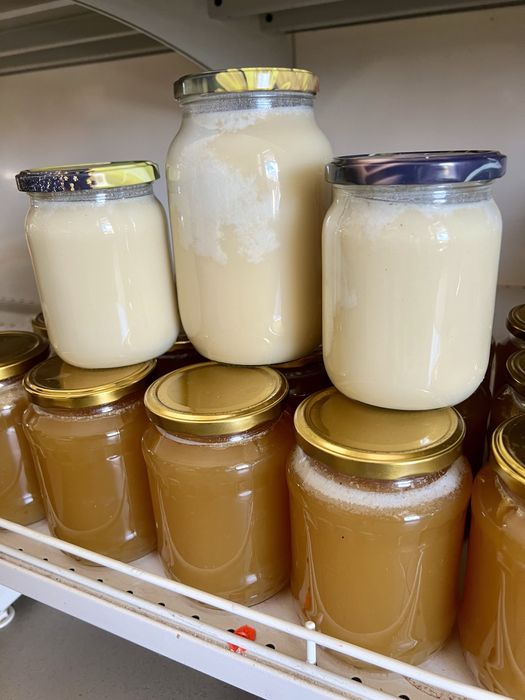 Мед весняний Мельники «Лісова пісня»