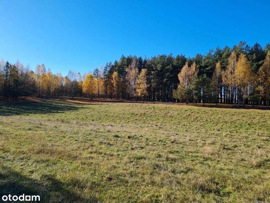 DZIAŁKI- STRUGA , gm. Stara Kiszewa